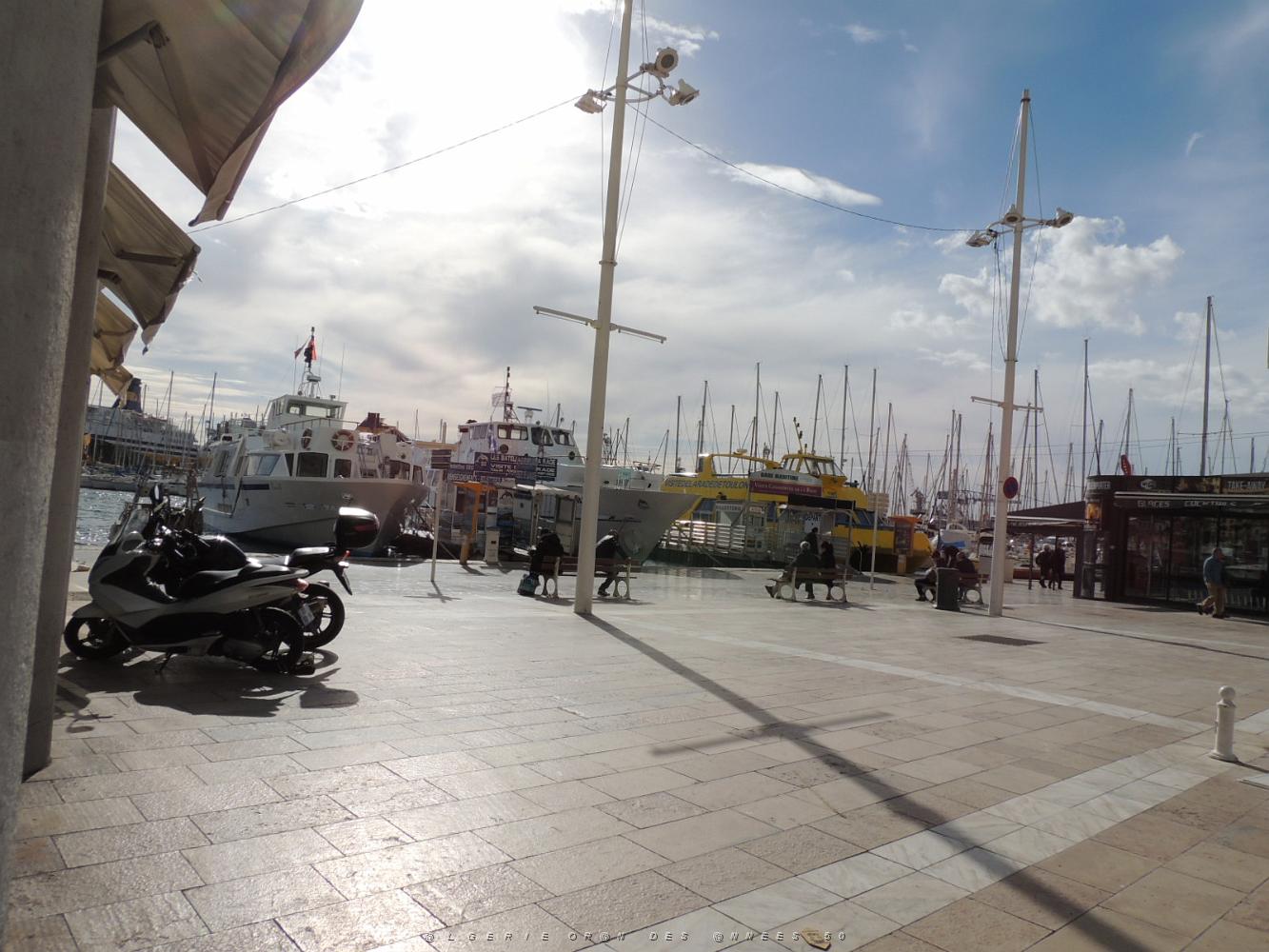 2018 03 12 TOULON BALLADE DANS LES RUES ET AU PORT (43).JPG -           